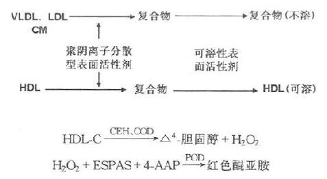 一、高密度脂蛋白膽固醇測定